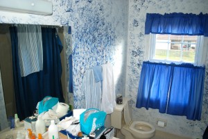 Costly Mistakes of Untrained Stagers, bathroom before home staging